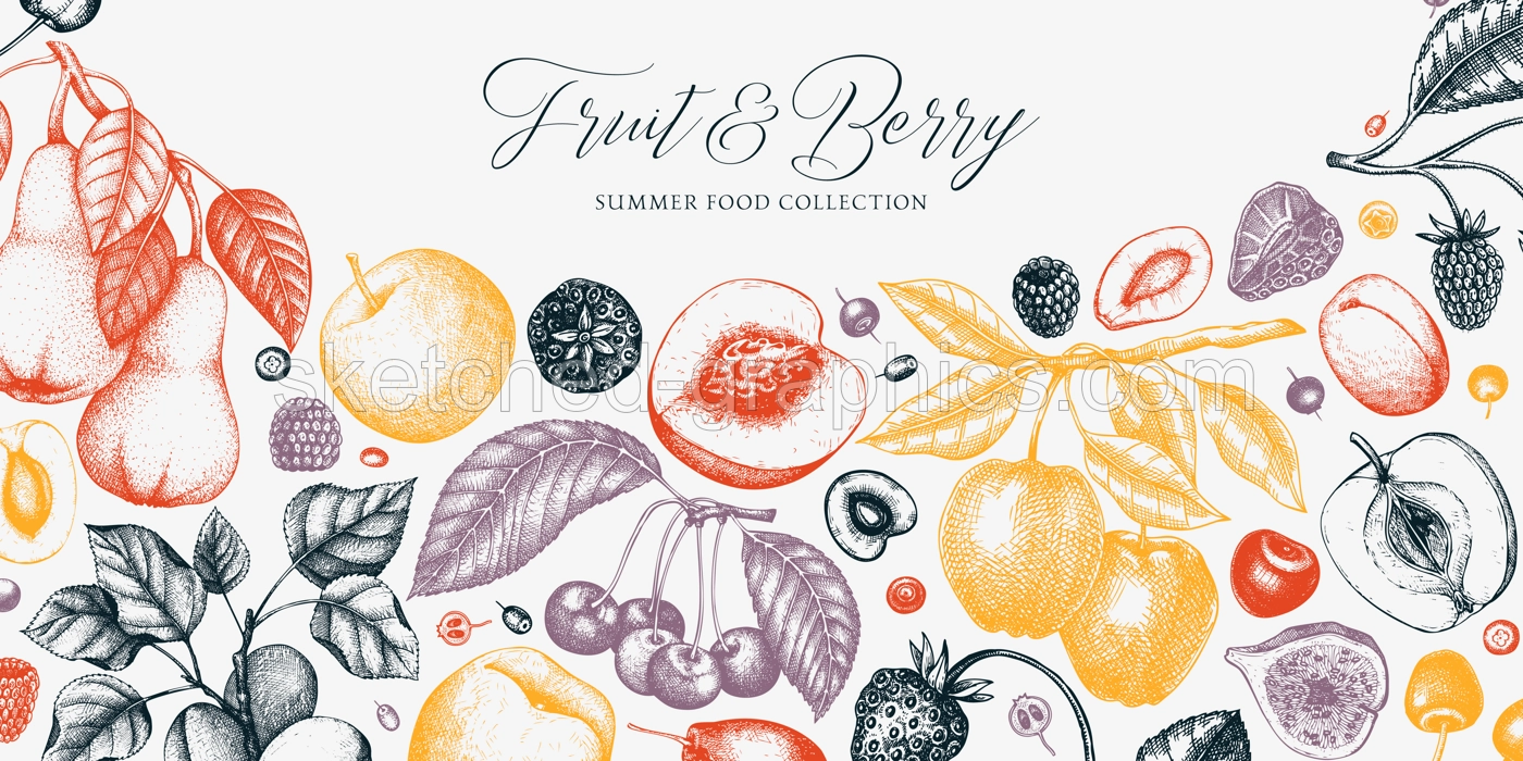 Berry and fruit background in color. Cherry, plum, apple, peach, apricot, fig, strawberry in sketch style. Hand-drawn fruit tree banner template in vintage style. Illustration